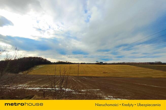 Wyjątkowy Dom z widokiem na hektary łąk i lasów!