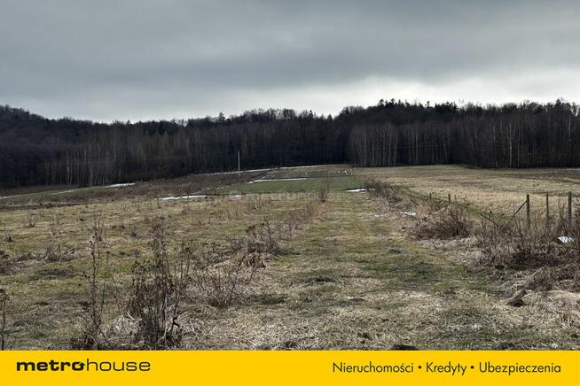 Działka w Kopytowej