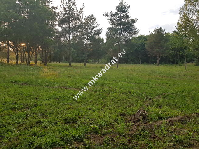 ⭐⭐⭐⭐⭐ Super działka usług z MPZP wym. 50x78 ⭐⭐⭐⭐⭐