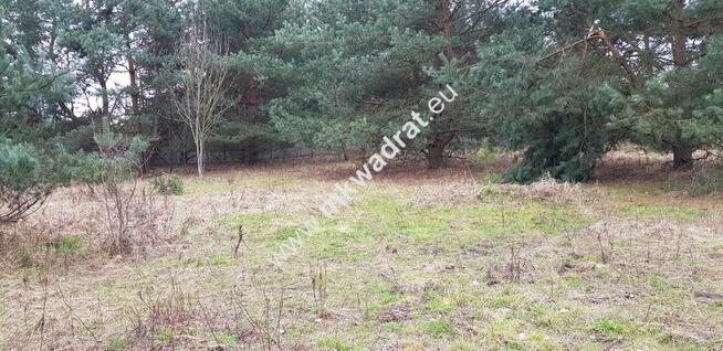 ⭐⭐⭐⭐⭐ Super działka usług z MPZP wym. 50x78 ⭐⭐⭐⭐⭐