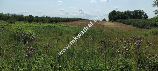 ⭐⭐⭐⭐ Okazja Działka 19000m2 z warunkami zabud!⭐⭐⭐⭐