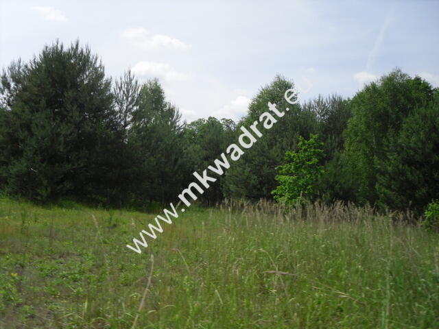 ⭐⭐⭐⭐ Okazja Działka 19000m2 z warunkami zabud!⭐⭐⭐⭐