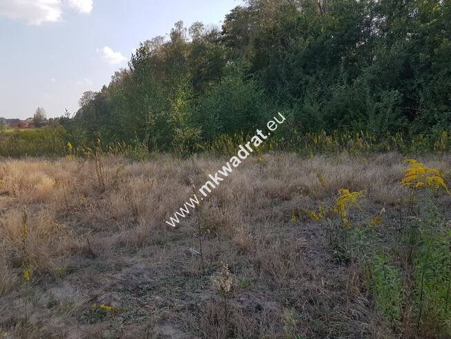 Działka przy lesie pod dom 2-lokalowy MPzP Media!