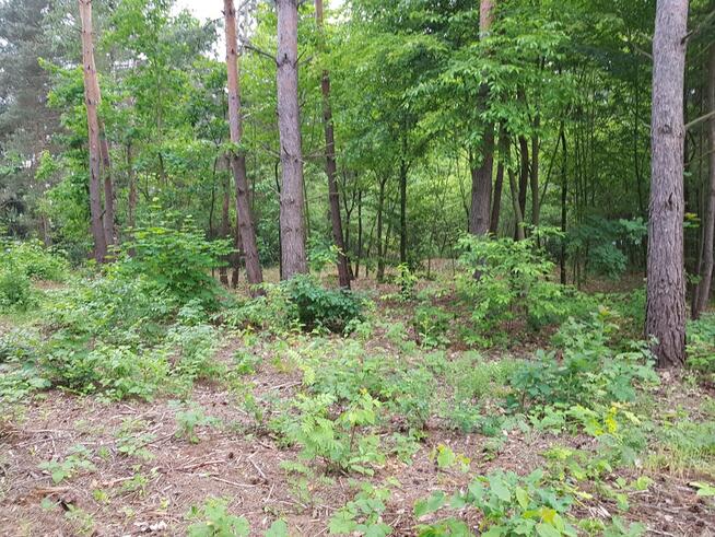 ⭐⭐⭐⭐⭐ Działka w okolicy Hotelu Afrodyta ⭐⭐⭐⭐⭐