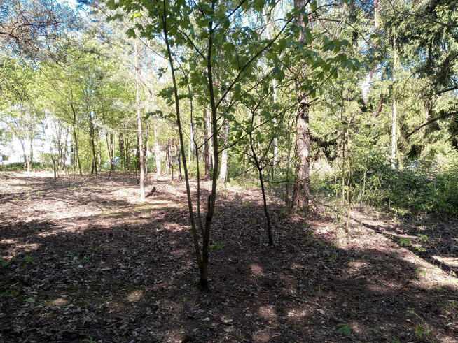 ⭐⭐⭐⭐⭐ Działka w okolicy Hotelu Afrodyta ⭐⭐⭐⭐⭐