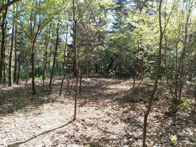 ⭐⭐⭐⭐⭐ Działka w okolicy Hotelu Afrodyta ⭐⭐⭐⭐⭐