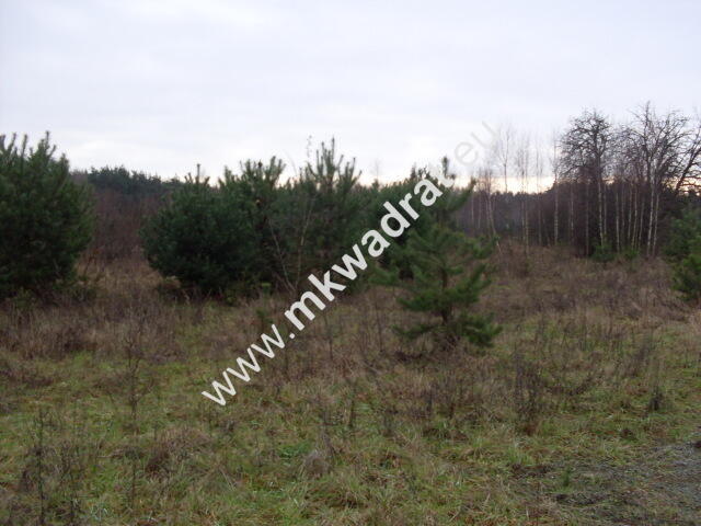 Działka Korabiewice