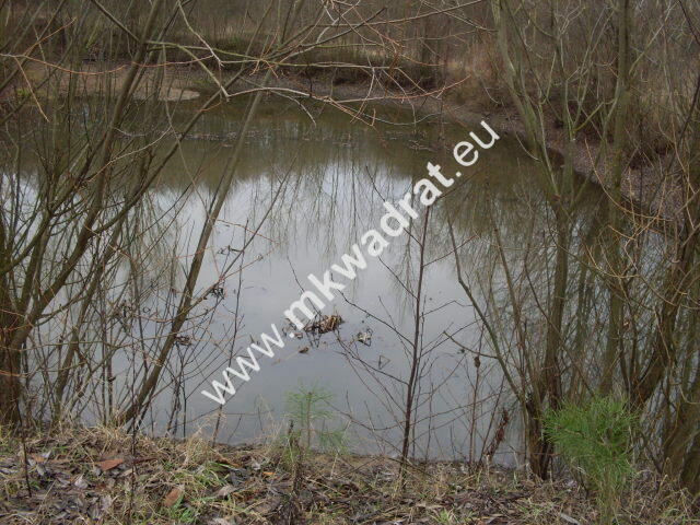 Działka Korabiewice