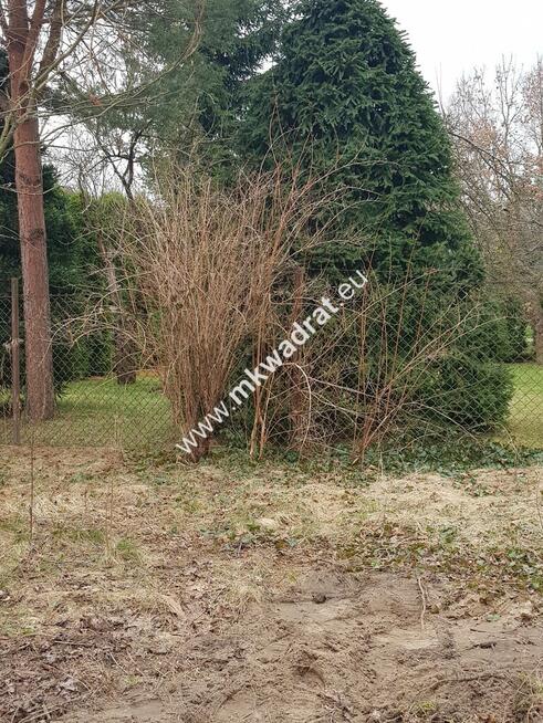 ⭐⭐⭐⭐ Blisko WKD na dom 2 lokal Media 1600m2 ⭐⭐⭐⭐