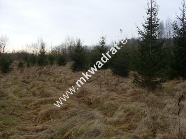 Działka Korabiewice