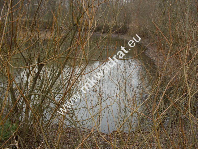 Działka Korabiewice