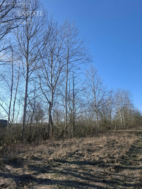 Działka budowlana Nowy Prażmów gm. Prażmów, Akacjowa