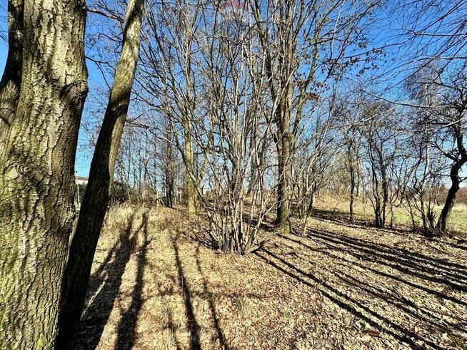Działka budowlano-usługowa – Radlin, Biertułtowy