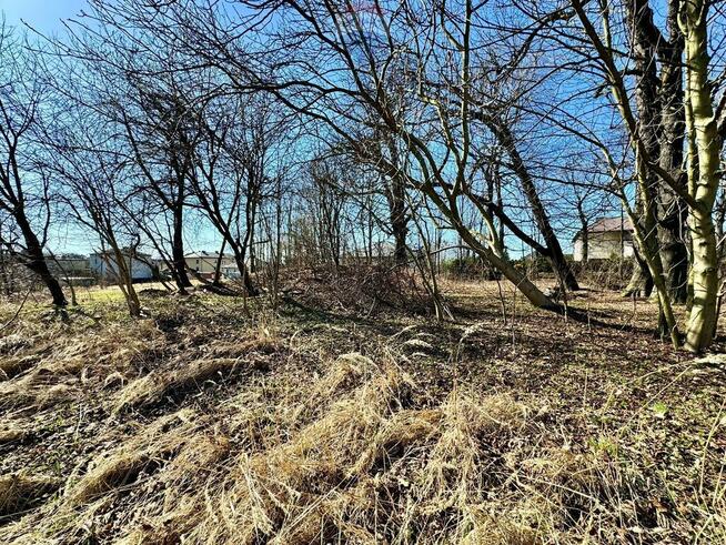 Działka budowlano-usługowa – Radlin, Biertułtowy