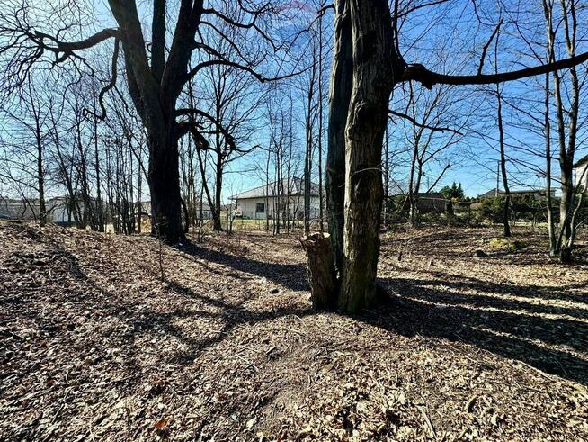 Działka budowlano-usługowa – Radlin, Biertułtowy