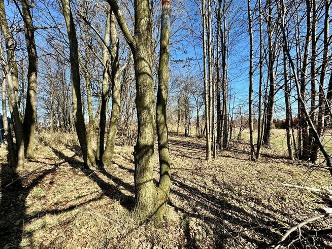 Działka budowlano-usługowa – Radlin, Biertułtowy