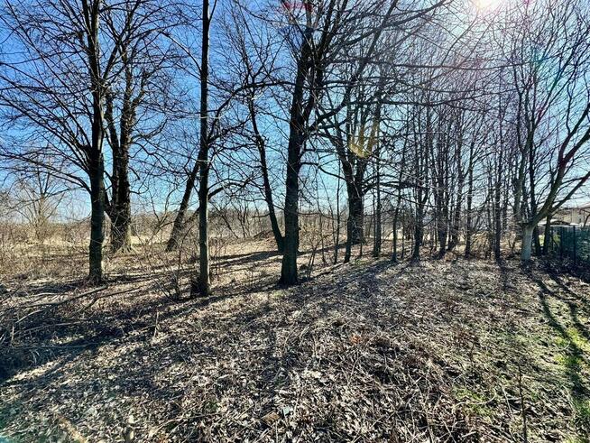 Działka budowlano-usługowa – Radlin, Biertułtowy