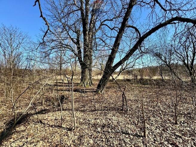 Działka budowlano-usługowa – Radlin, Biertułtowy