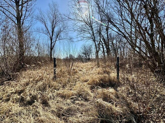 Działka budowlano-usługowa – Radlin, Biertułtowy