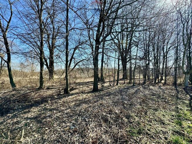 Działka budowlano-usługowa – Radlin, Biertułtowy