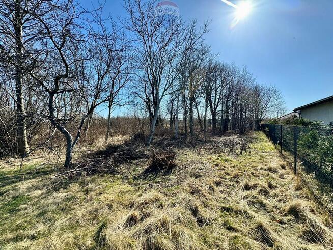 Działka budowlano-usługowa – Radlin, Biertułtowy