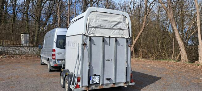 TRANSPORT KONI-KRÓW świń żywca