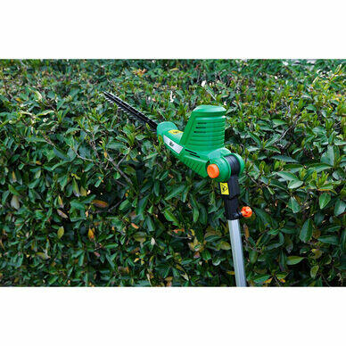 Noźyce do źywołotu 570 Wat Hawksmoor