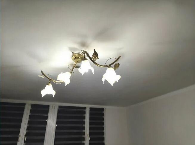 Lampa Plafon sufitowa beż kwiaty, solidna DOSTĘPNA