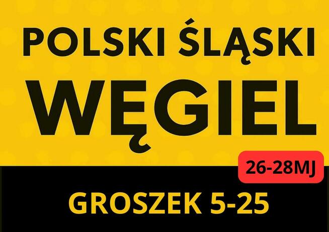 POLSKI WĘGIEL Groszek (5-25) 26-28MJ- Transport Gratis !