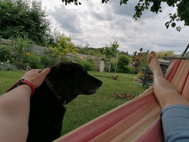 Bliski przyjaciel... Pan dla Pani