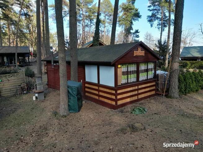 Sprzedam dom letniskowy nad jeziorem Wełtyń k. Gryfina