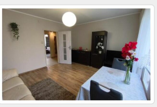 Mieszkanie 2 pokojowe 48m2 po remoncie nowe agd plus garaz