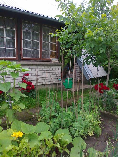 Działka rekreacyjna ROD pod Wasilkowem, Białystok