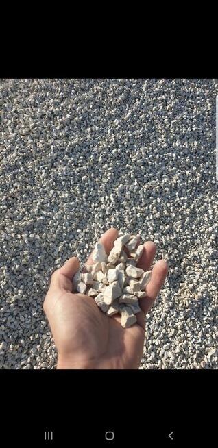 Ziemia czarna, brunatna, piach, kamień