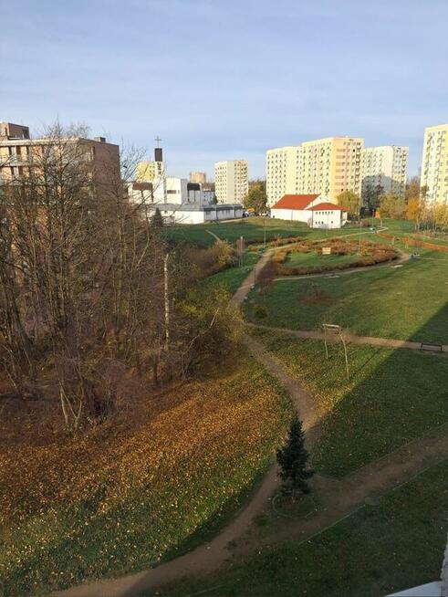 Mieszkanie do remontu w super okolicy