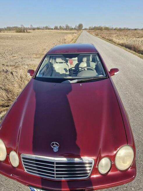Mercedes CLK