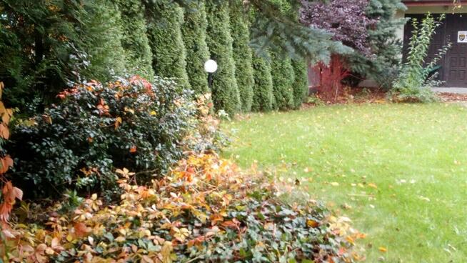 Dom 250 m² z ogrodem, zielona Radość (sprzedaż bezpośrednia)