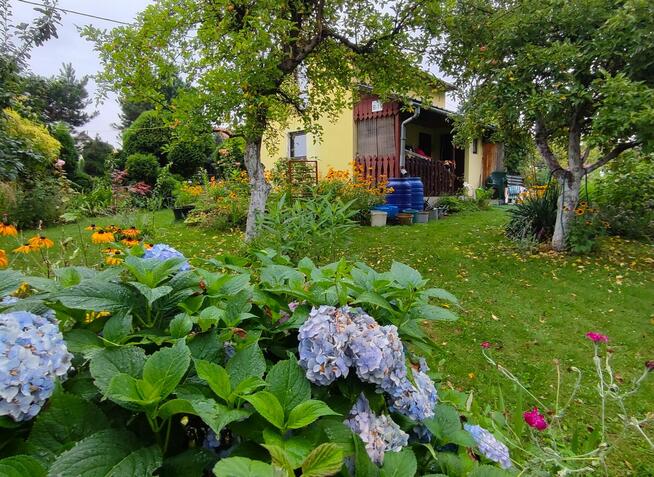 Działka rekreacyjna ROD w Bielsku - Białej