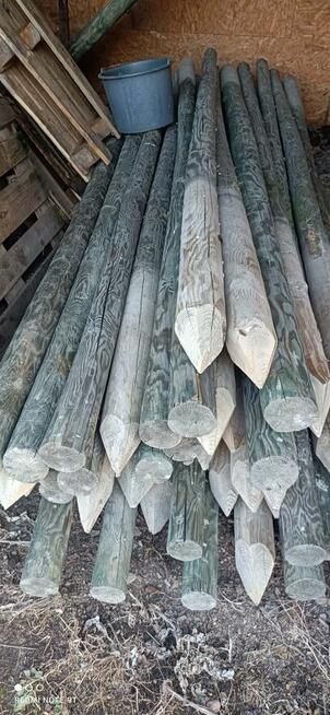 Paliki do sadu - 200 szt - wysokość 3.5m - mocne