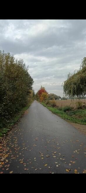 Działka 1200 m² z dojazdem asfaltowym, Śniadówka