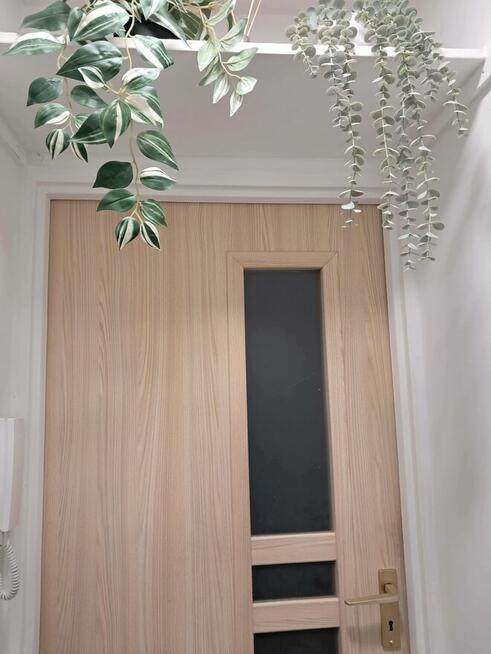 Wynajmę kawalerkę w centrum Wrocławia