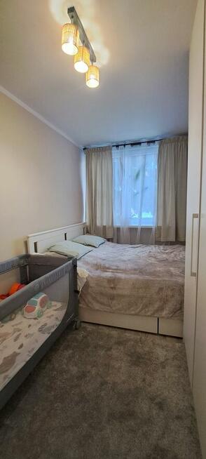 Mieszkanie na wynajem/sprzedaż, parter - ul.Piłsudskiego - 4