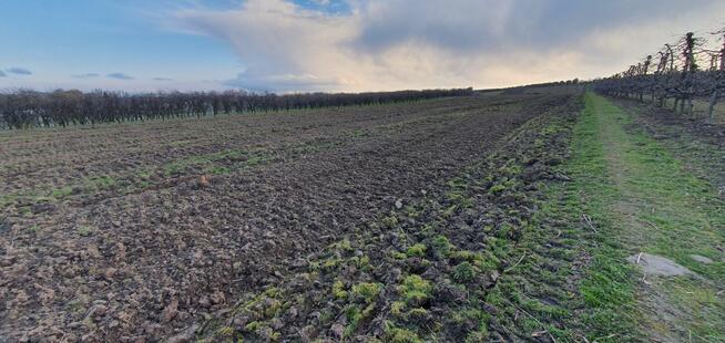 Sprzedam działkę 2.3ha blisko Sandomierza