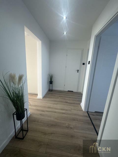 Mieszkanie Tarnów, Bitwy pod Studziankami