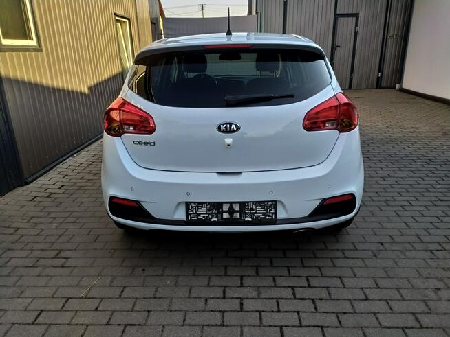 Kia Cee'd 1.6 Gdi Automat Ledy Kamera Grzane Fotele i Kierownica Zarejestrowany