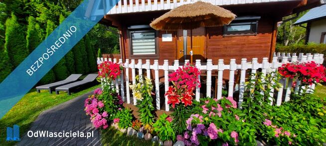 Sprzedam domek nad morzem, Rowy – 15 minut do plaży przez sosnowy las!!!