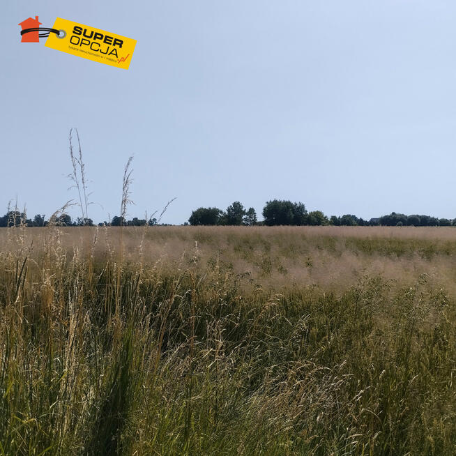 Działka budowlana Mogilany,