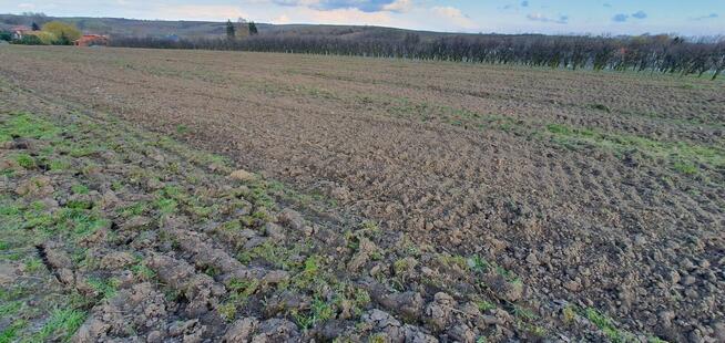 Sprzedam działkę 2.3ha blisko Sandomierza