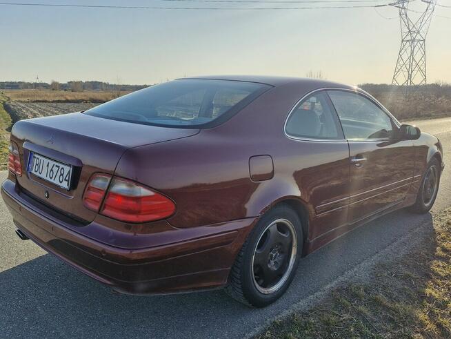 Mercedes CLK