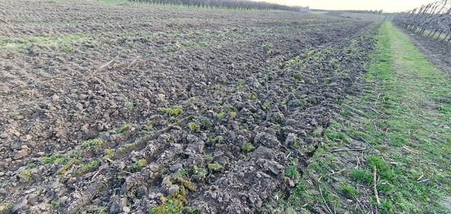 Sprzedam działkę 2.3ha blisko Sandomierza